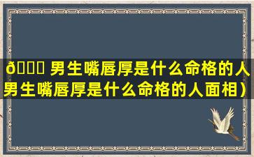 🐝 男生嘴唇厚是什么命格的人（男生嘴唇厚是什么命格的人面相）